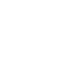 cat playing with a fish